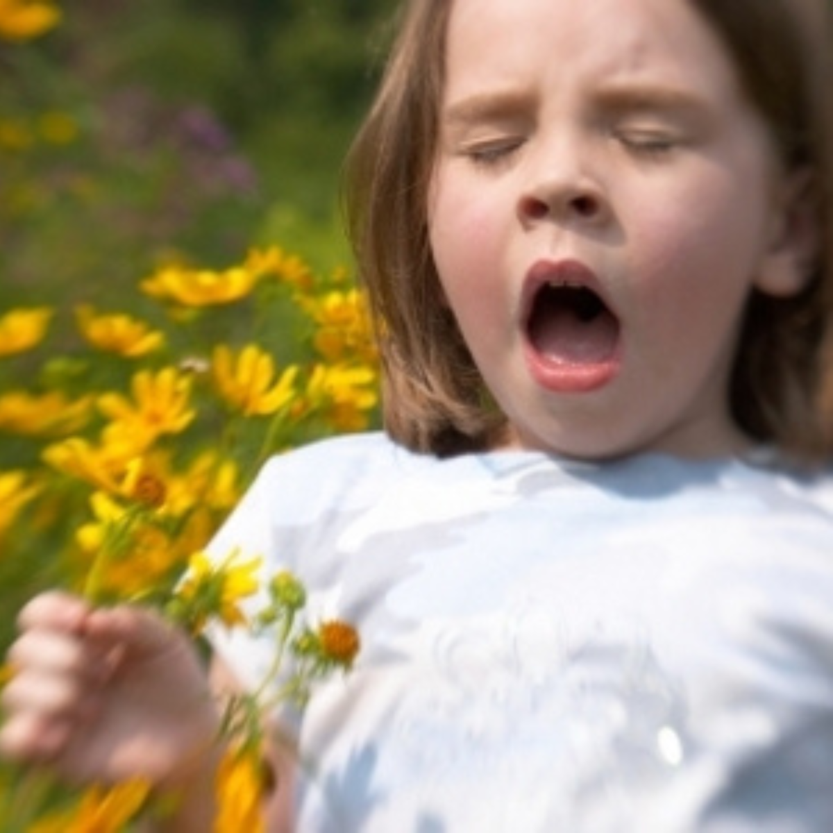 A little girl about to sneeze from flower pollen.