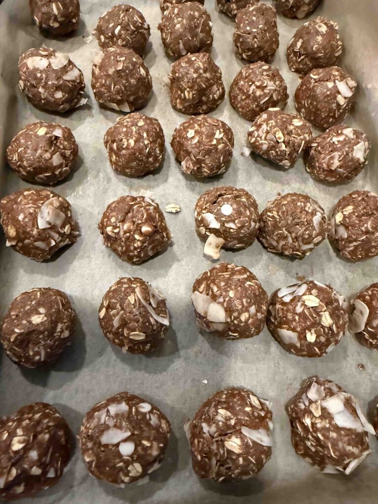 Dr Jamie's Protein Balls